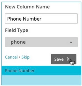 importwizard button newcolumnsave