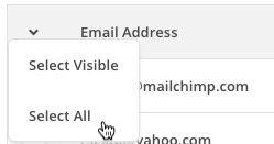 mailchimp lista iscritti seleziona tutti